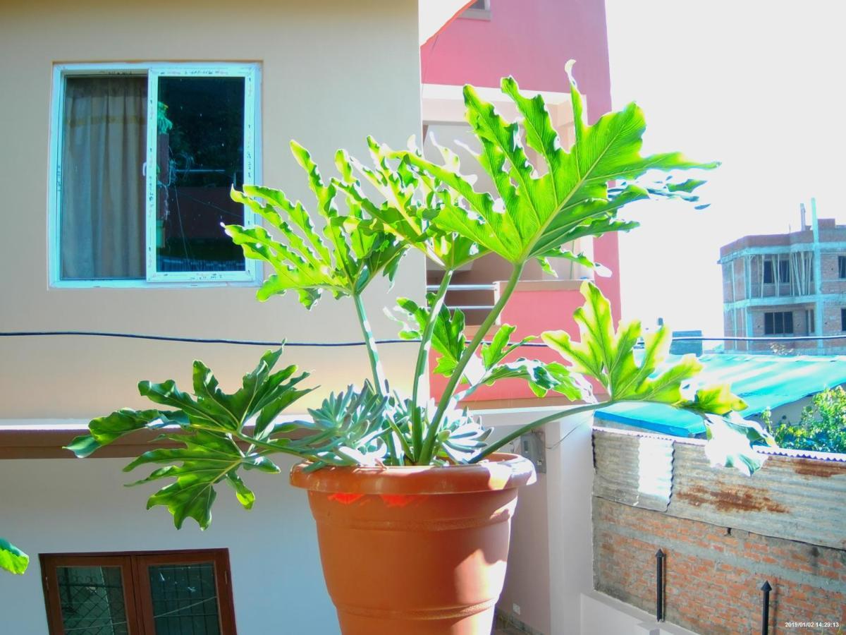 Everest Home Stay Apartment Lalitpur المظهر الخارجي الصورة